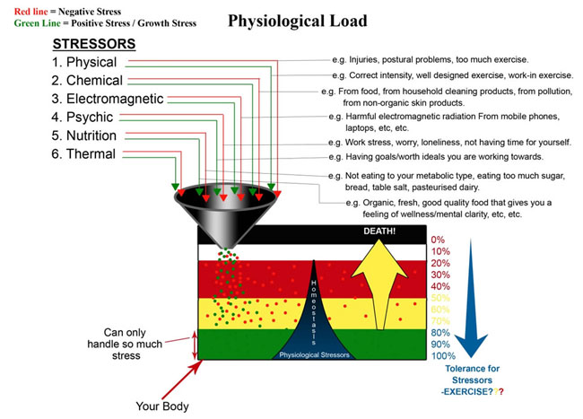 The Importance of Stress Control: The Weight Loss Nemesis